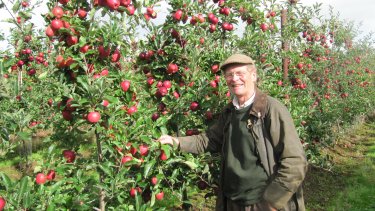 Andrew Jackson in the new Gala orchard